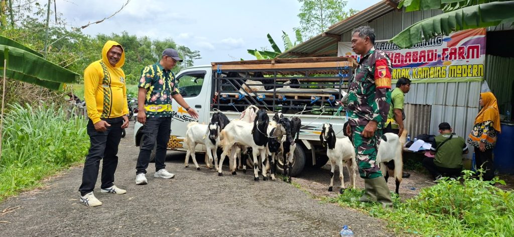 Poktan Sejahtera Dusun Kedungrejo Terima Bantuan Kambing dari Dinas Peternakan dan Kesehatan Hewan Kabupaten Pasuruan